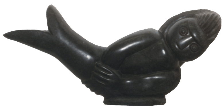 Chiwawa,MERMAID,sec4,59cmg