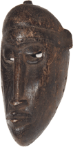 Dogon-tdom8k